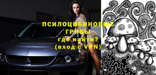 молекула духа Аркадак